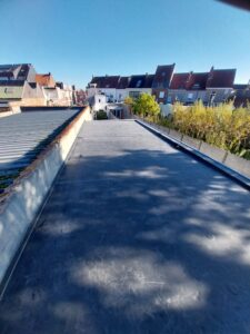 11875db8 ae9c 4647 8808 3bbeafad2401