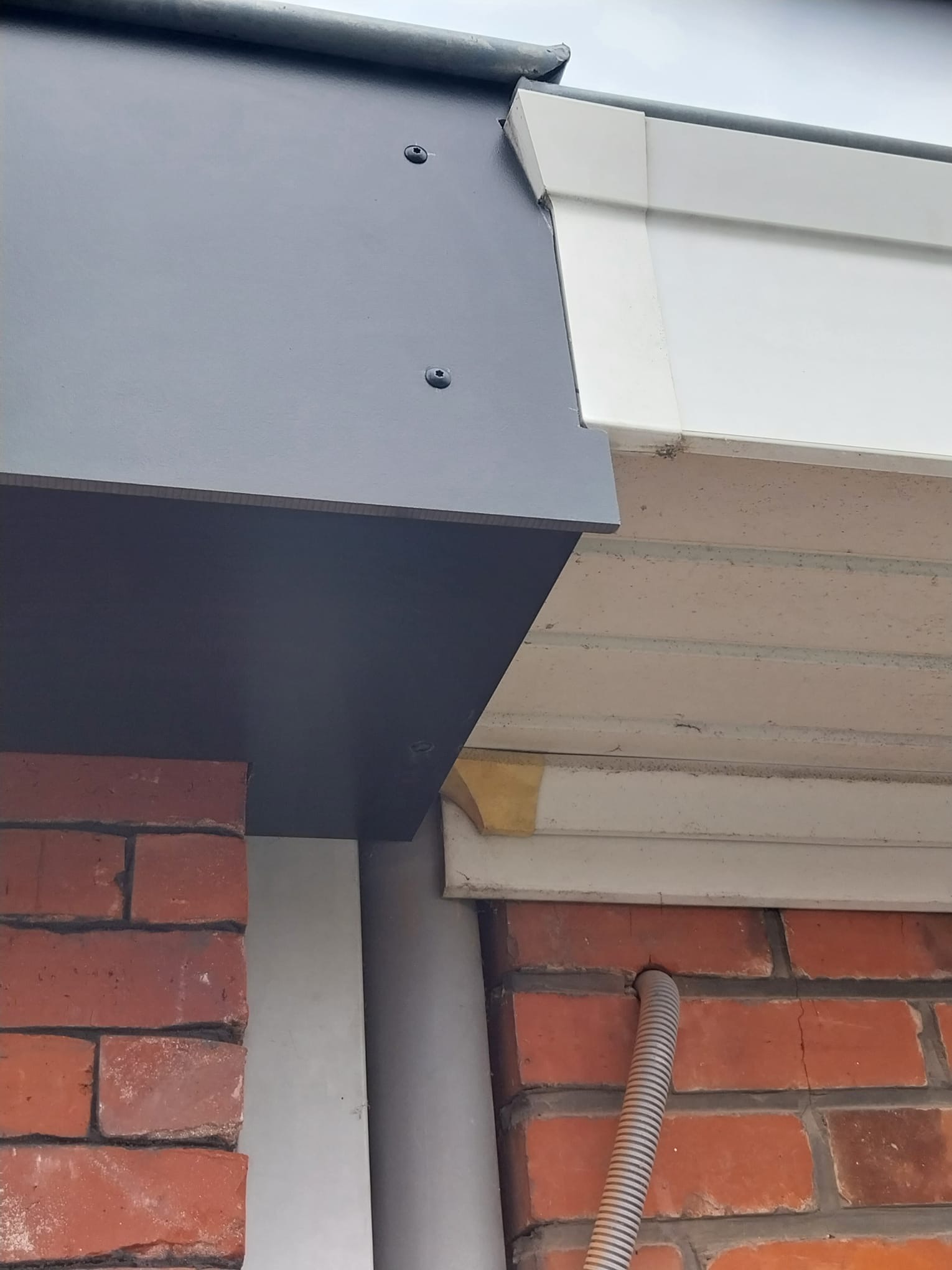 86115683 51fd 46ce 9054 6a5d0ae5202c