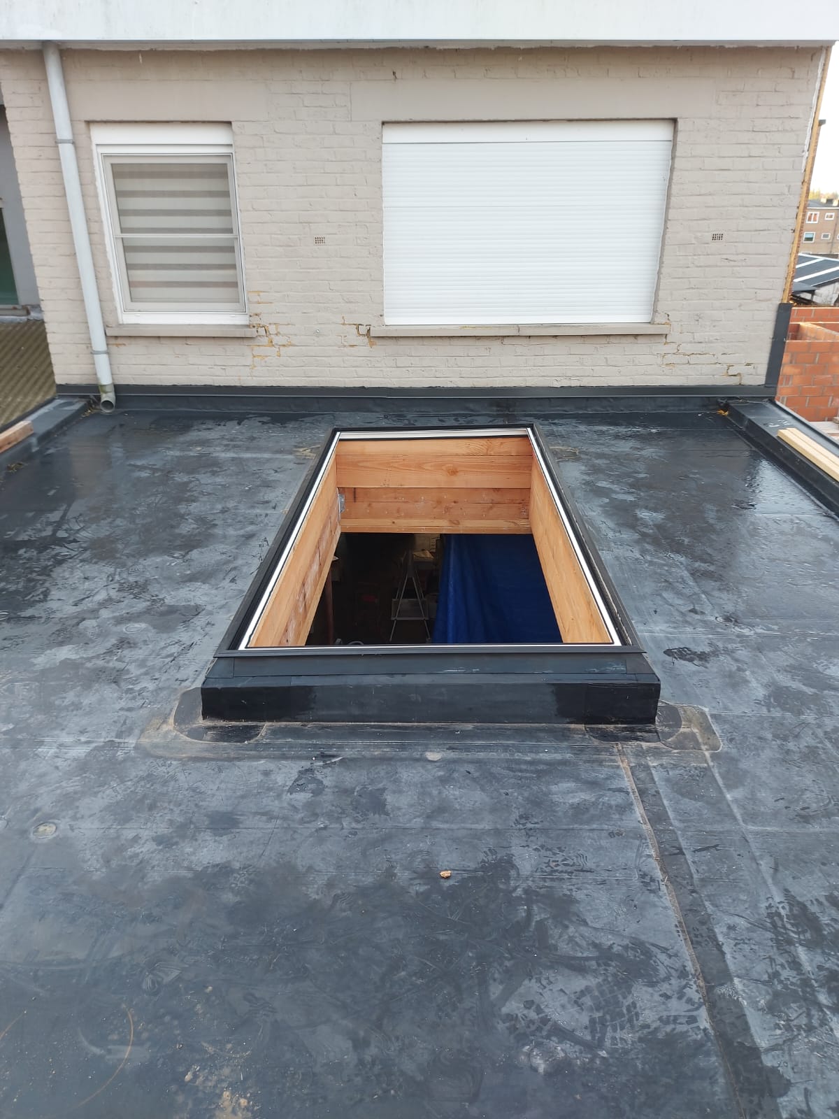 cd5cbfd8 f336 43ef 9b63 17a3a7f1eee7