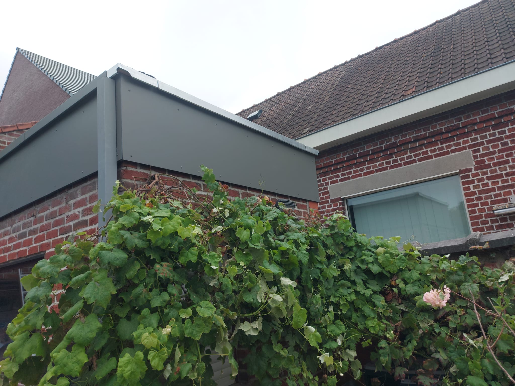 fefc6a19 4167 4a48 8061 6d54c1d9bd0a